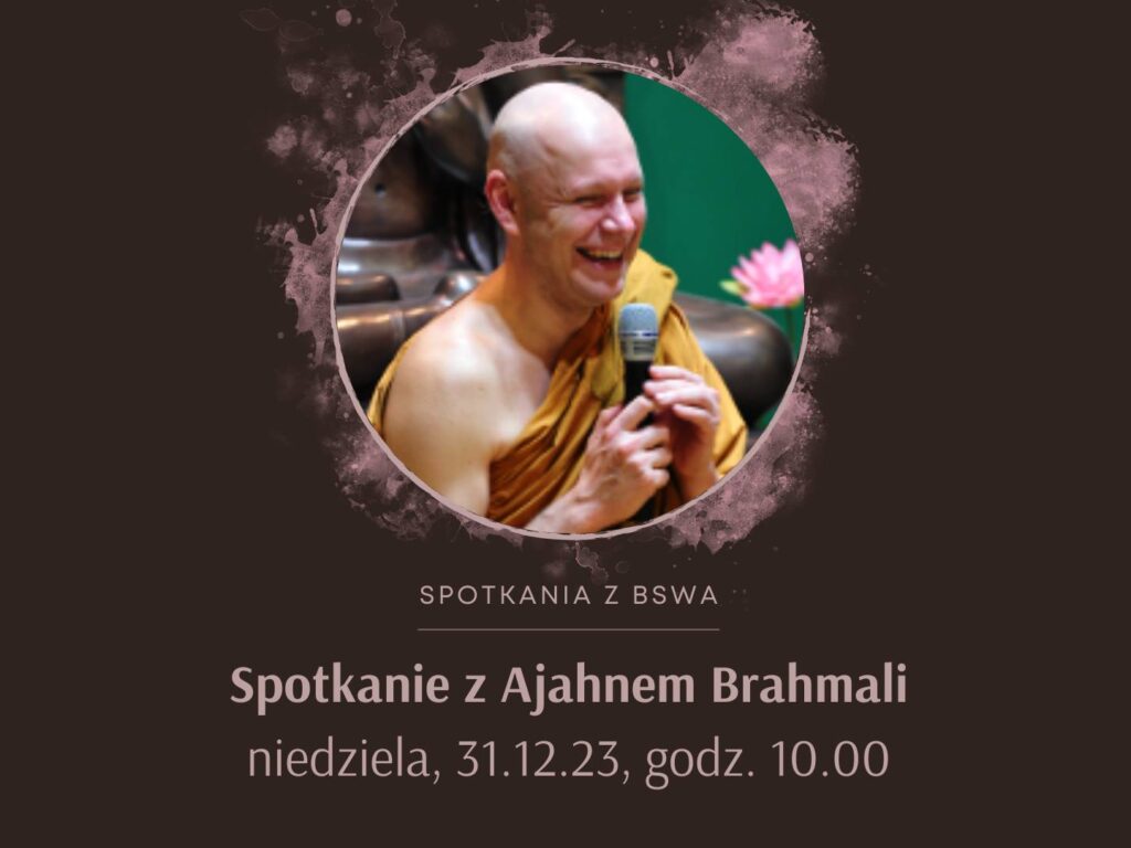 Read more about the article 31.12 Spotkanie online z Ajahnem Brahmali